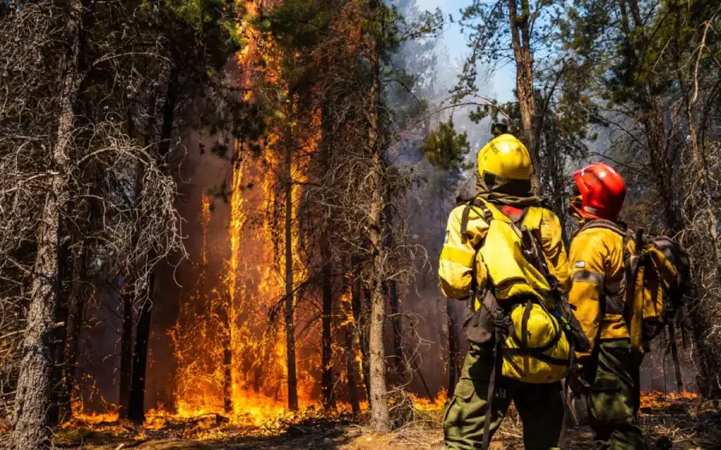 uniformes para bomberos forestales